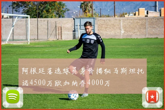 阿根廷落选球员身价揭秘马斯坦托诺4500万欧加纳乔4000万